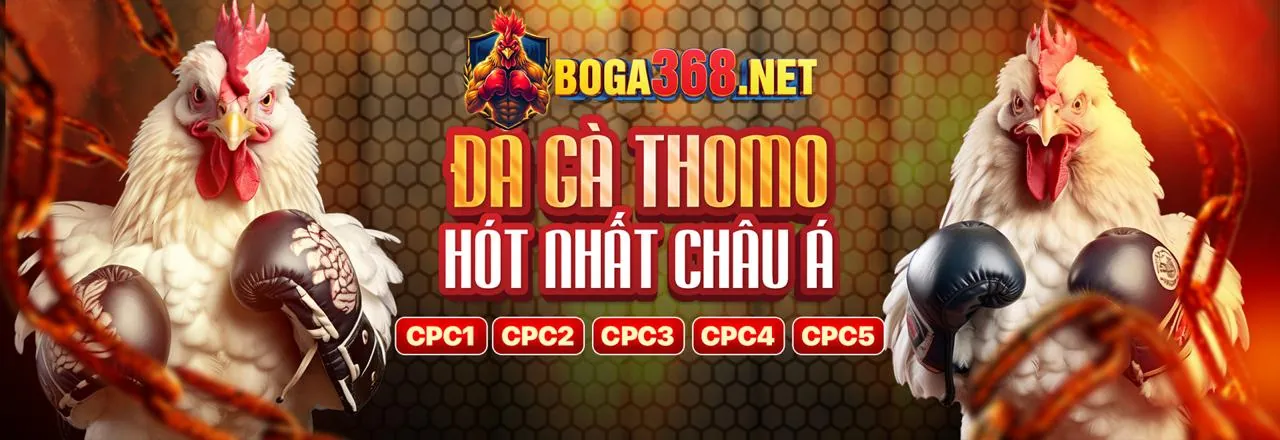 Giao diện cá cược thể thao đa dạng kèo tại xvip đăng nhập