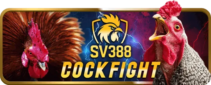 Dịch vụ hỗ trợ khách hàng 24/7 của Xvip Đăng Nhập